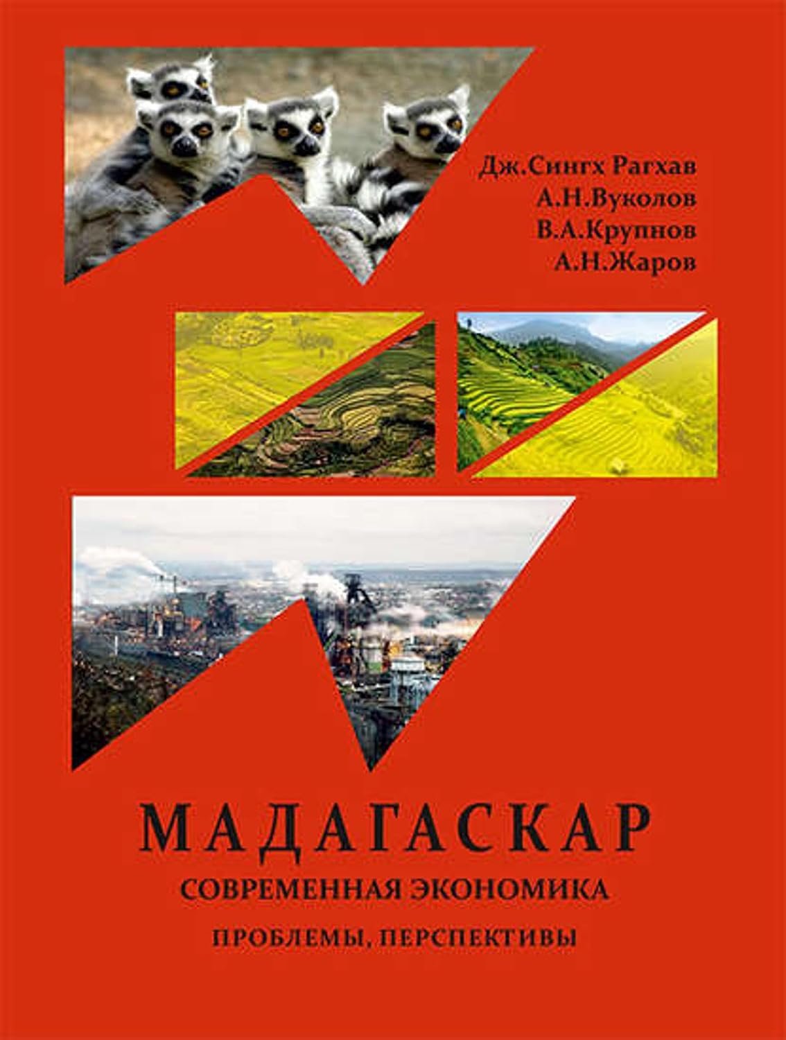 Республика Мадагаскар. Современная экономика (проблемы, перспективы) (Russian Edition) baixar livro de graça