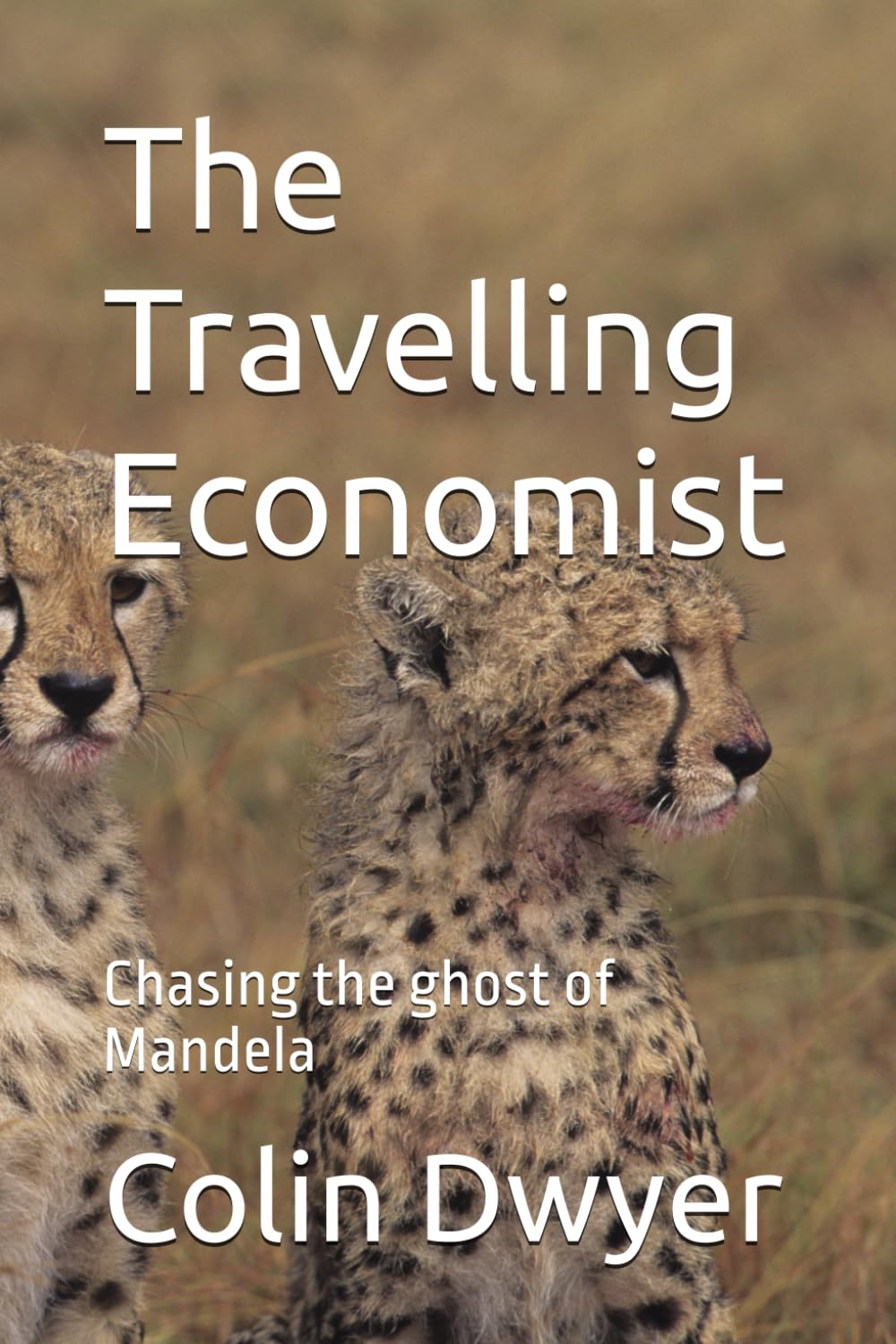 The Travelling Economist: Chasing the ghost of Mandela baixar livro de graça