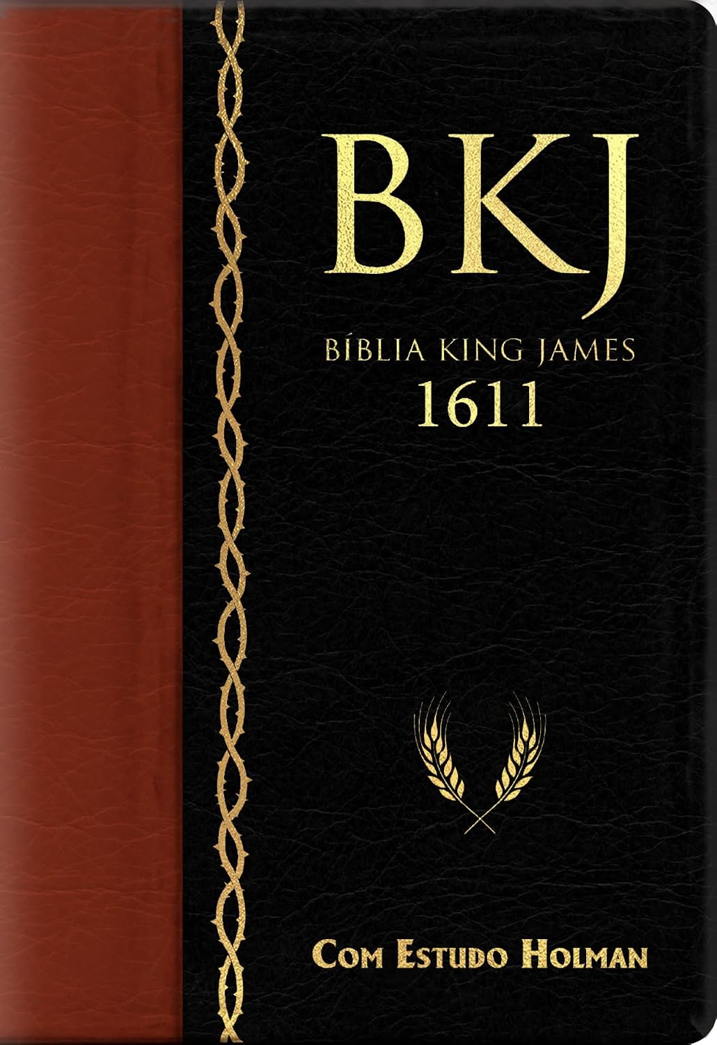 capítulo por capítulo baixar Bíblia King James 1611 com Estudo Holman