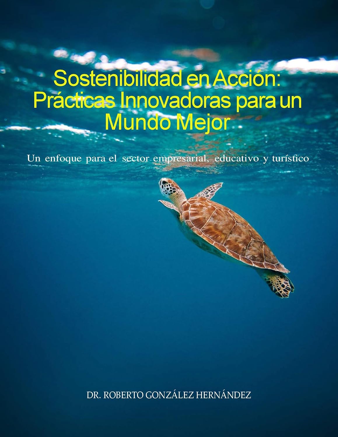 Sostenibilidad en Acción: Prácticas Innovadoras para un Mundo Mejor: Un enfoque integral para el sector empresarial, educativo y turístico (Spanish Edition) baixar livro de graça