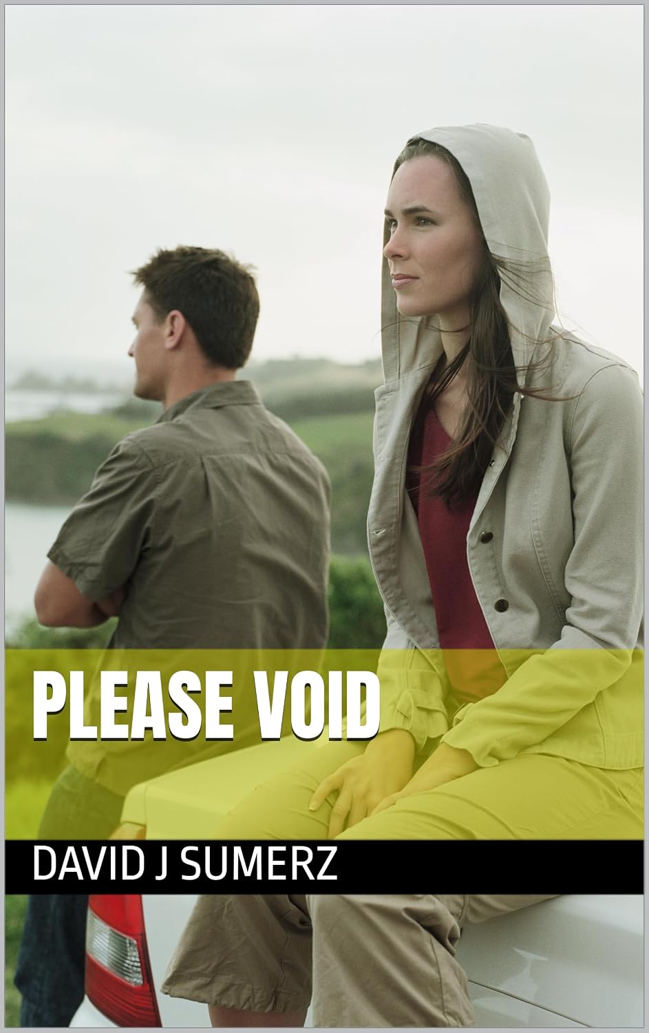 ler totalmente PLEASE VOID (English Edition)