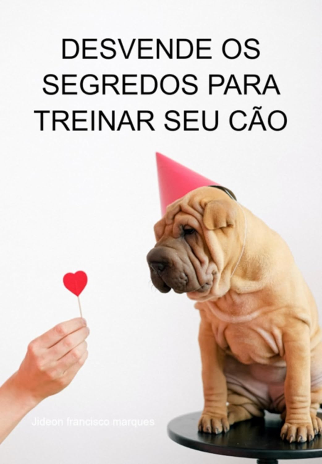 Desvende Os Segredos Para Treinar Seu Cão baixar livro de graça