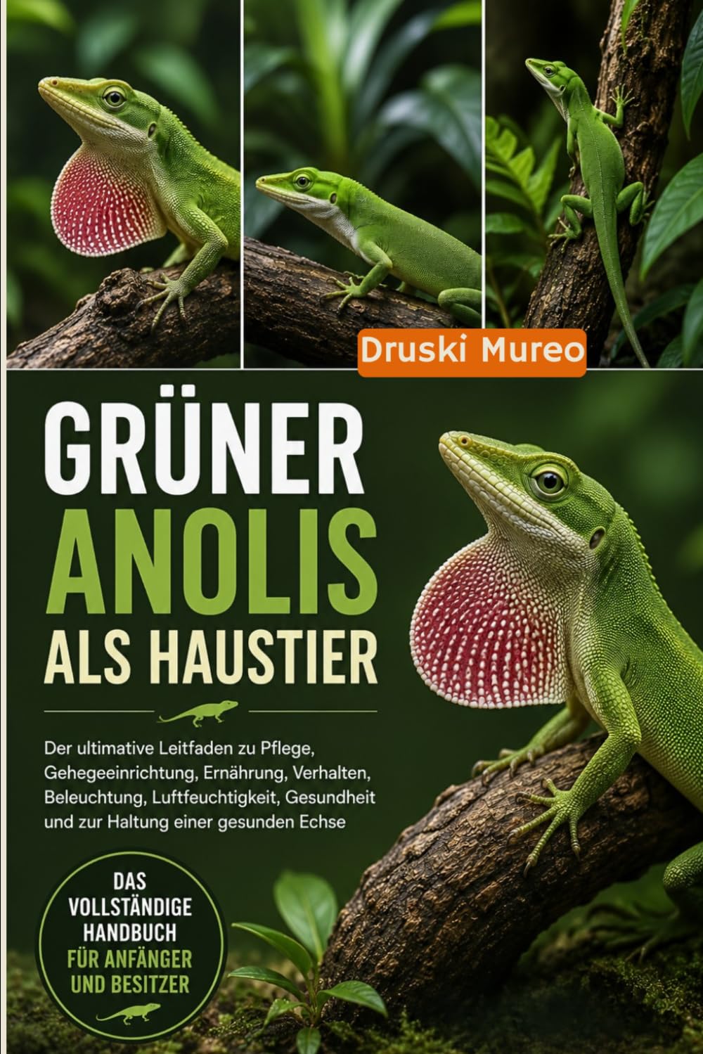 GRÜNER ANOLIS ALS HAUSTIER: Der ultimative Leitfaden zu Pflege, Gehegeeinrichtung, Ernährung, Verhalten, Beleuchtung, Luftfeuchtigkeit, Gesundheit und zur Haltung einer gesunden Echse baixar livro de graça