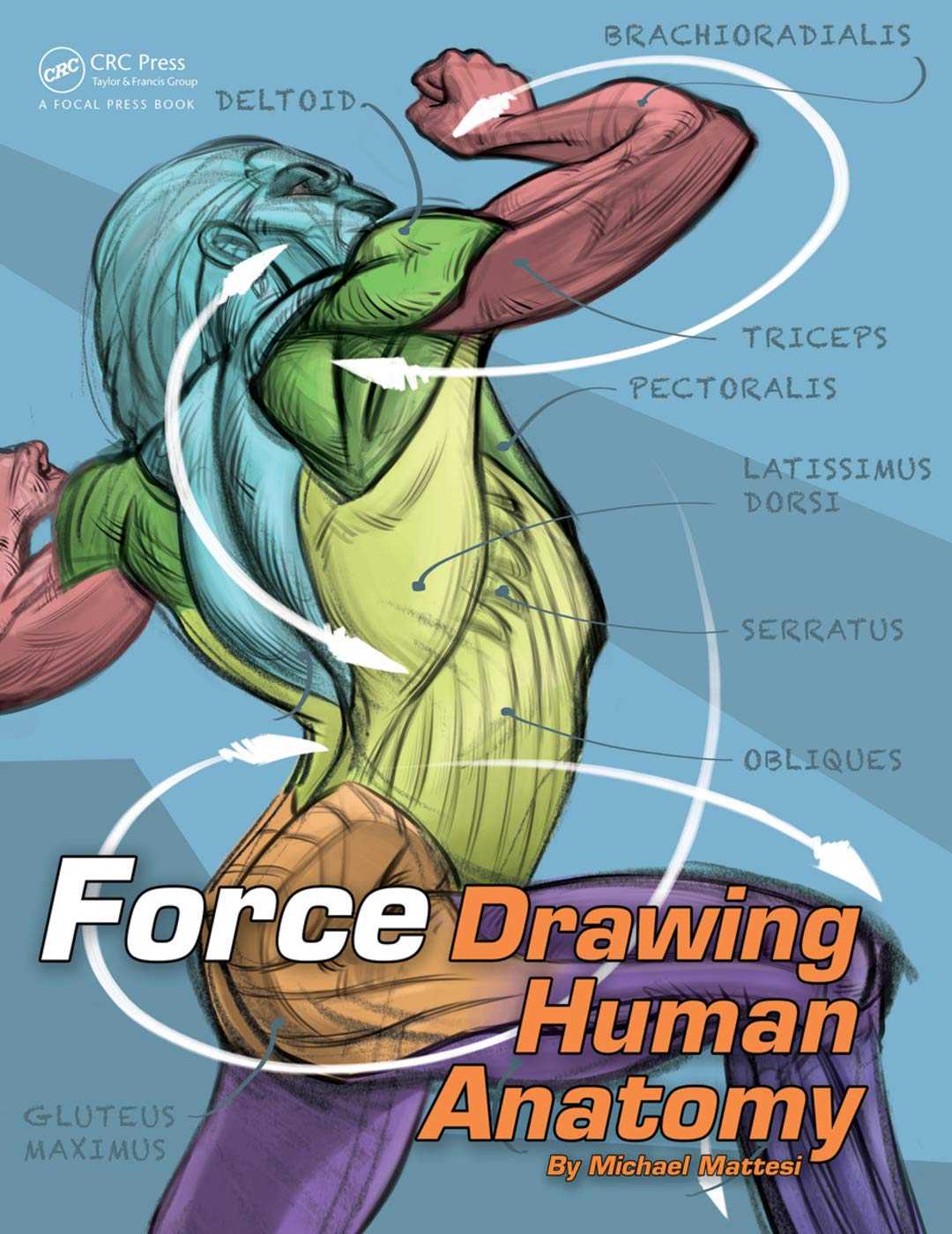 Force: Drawing Human Anatomy baixar o livro de graça