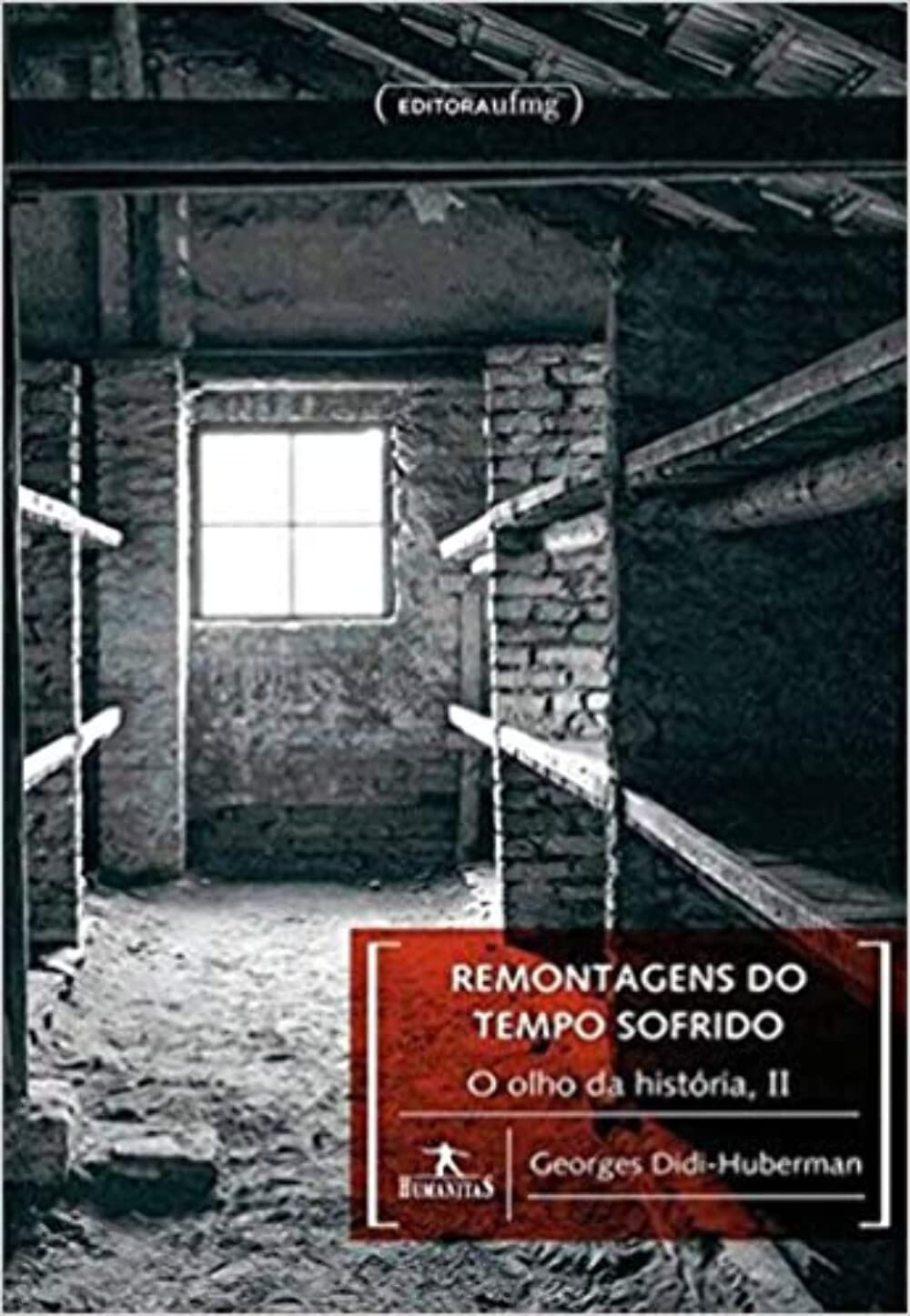 Remontagens do Tempo Sofrido: o Olho da História, II baixar o livro de graça