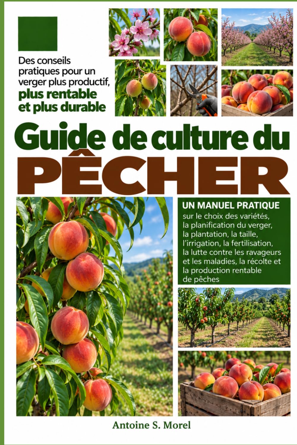 GUIDE DE CULTURE DU PÊCHER: Un manuel pratique sur le choix des variétés, la planification du verger, la plantation, la taille, l’irrigation, la... la récolte et la prod (French Edition) baixar livro de graça