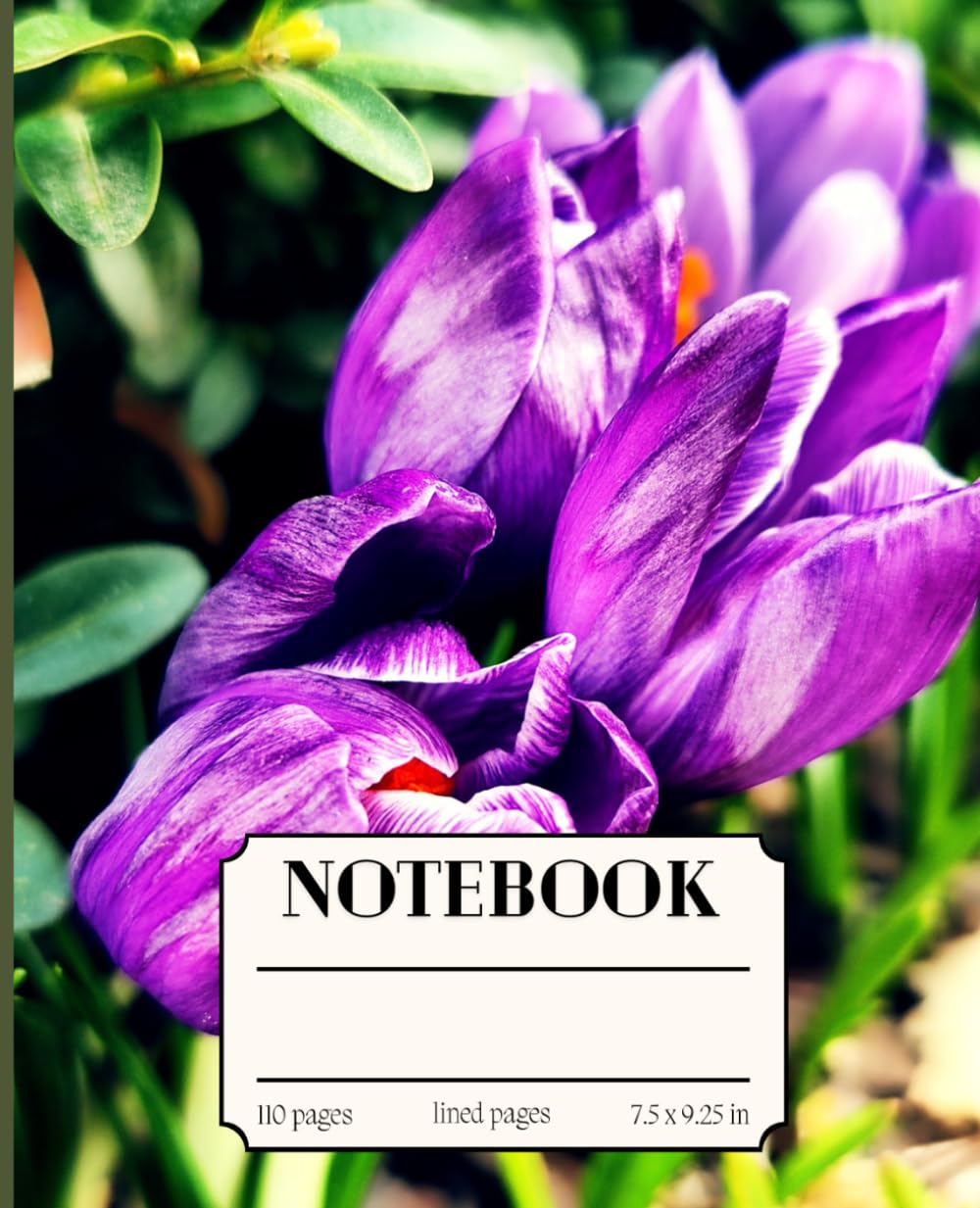 ler totalmente Floral Composition Notebook: Botanical Illustration / Pretty Notebook for Women, Girls, Students and Adults / Spring, Floral Journal 7.5 x 9.25 Colorful lined paper
