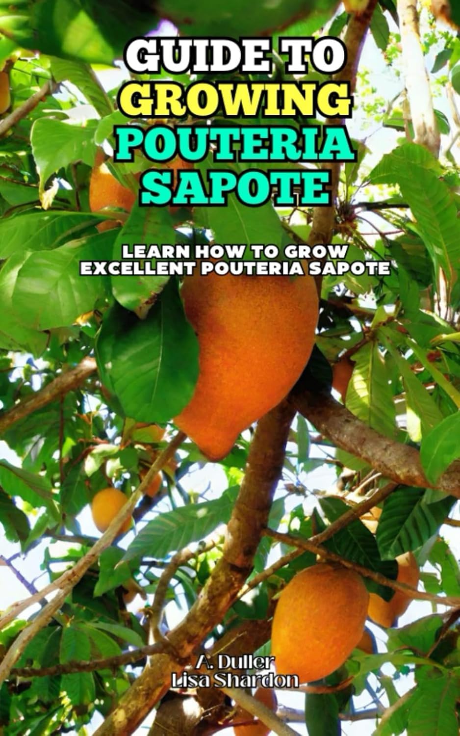 ler totalmente Guide to growing Pouteria Sapote: Learn how to grow excellent Pouteria Sapote
