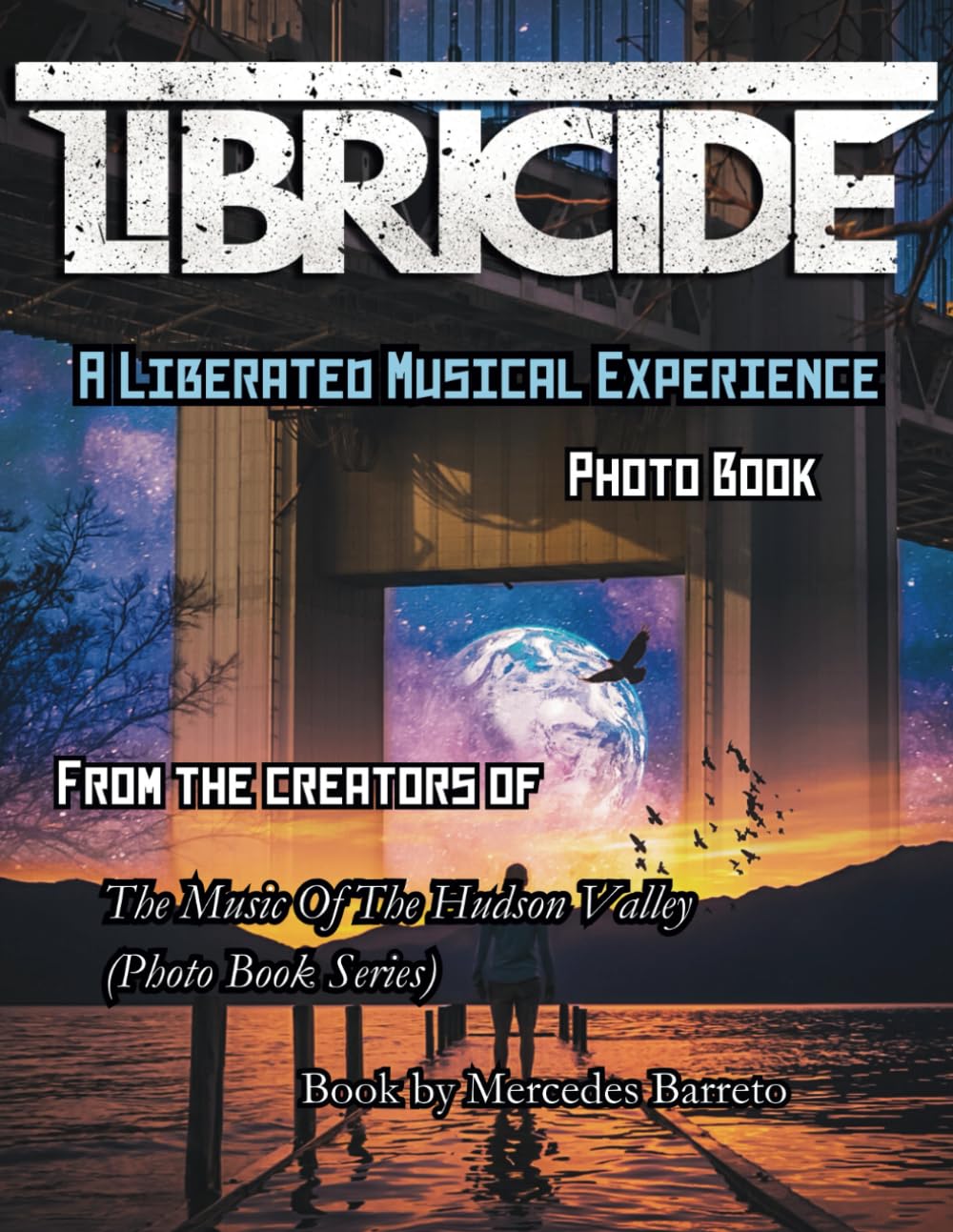 Libricide A Liberated Musical Experience Photo Book: From The Creators Of 'The Music Of The Hudson Valley' Photo Book Series baixar o livro de graça