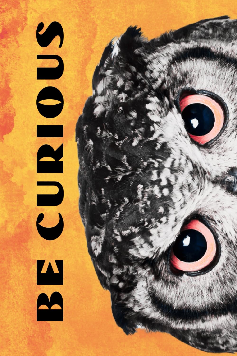 capítulo por capítulo baixar Be Curious Owl: Funny Motivational Journal For Job& Life- The Perfect Inspirational Gift Notebook