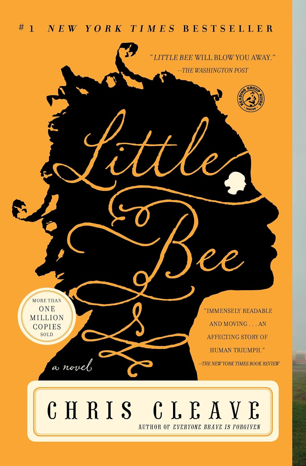 capítulo por capítulo baixar Little Bee: A Novel