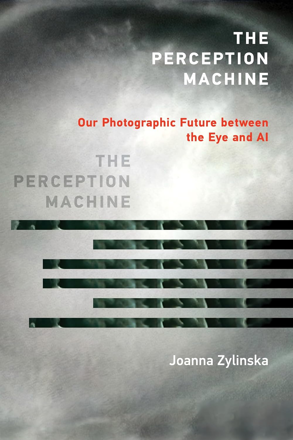 ler totalmente The Perception Machine: Our Photographic Future between the Eye and AI (English Edition)
