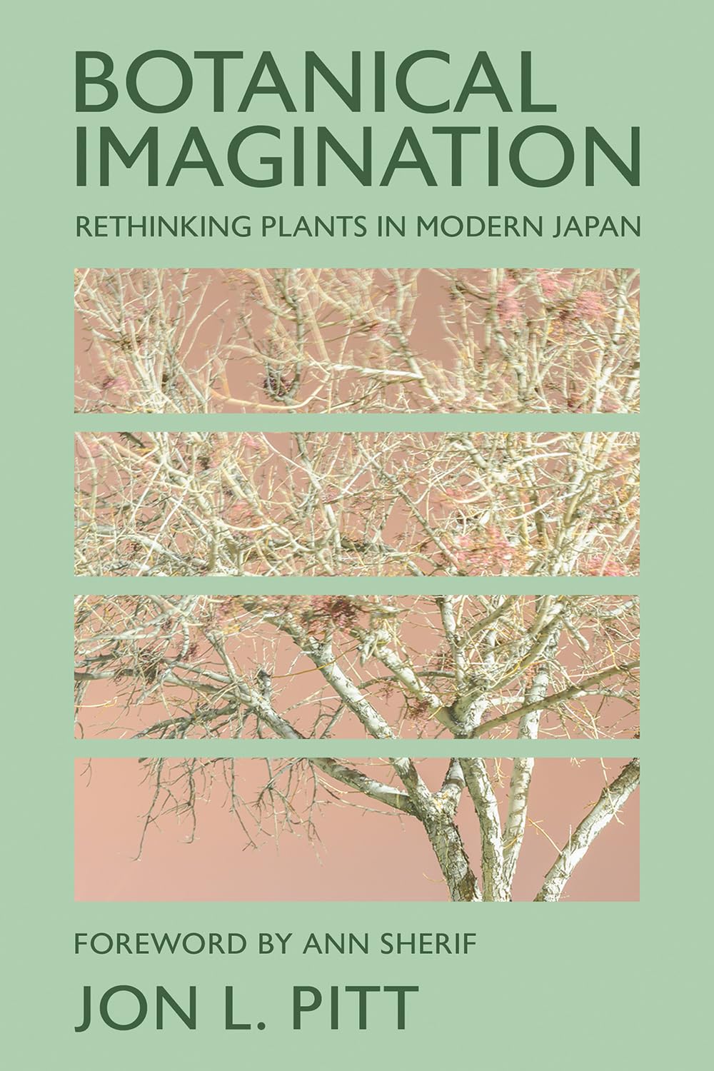 Botanical Imagination: Rethinking Plants in Modern Japan (The Environments of East Asia) (English Edition)