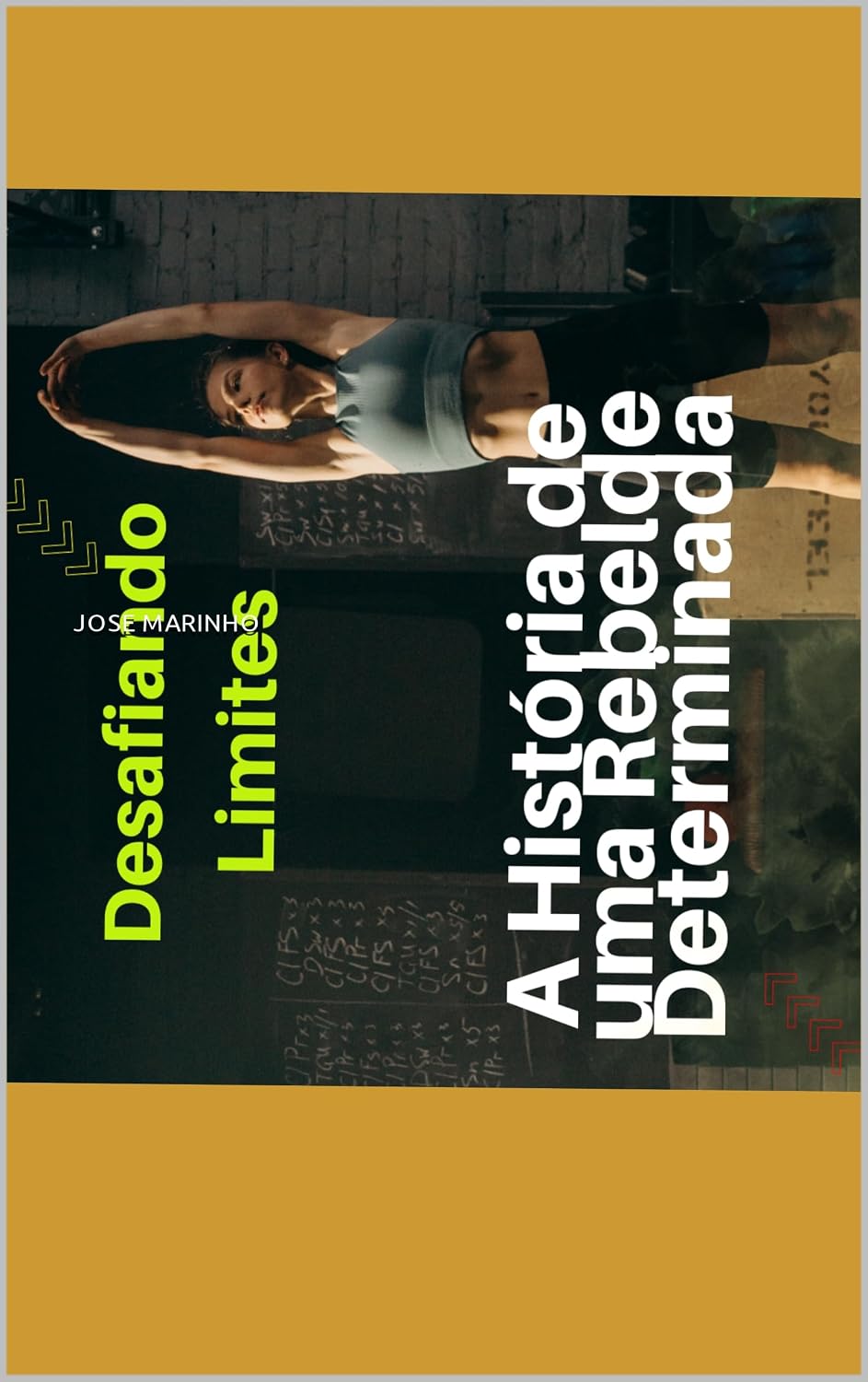 Desafiando Limites: A História de uma Rebelde Determinada baixar livro de graça