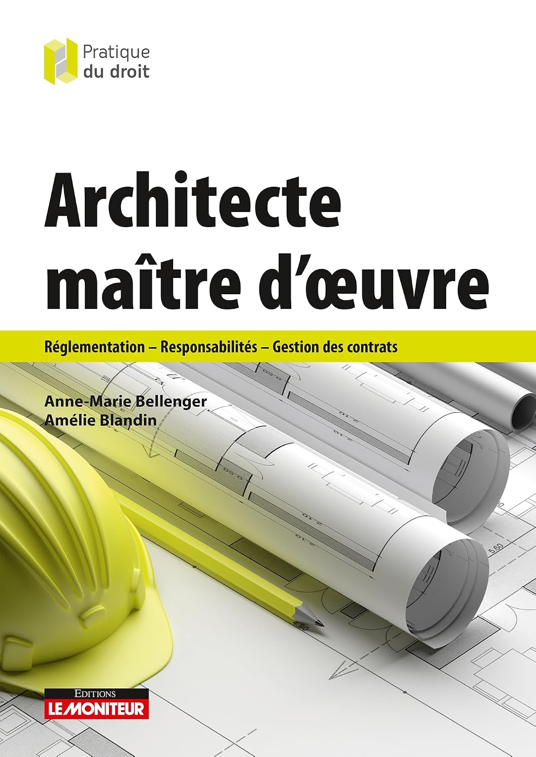 capítulo por capítulo baixar Architecte maître d'oeuvre: Réglementation - Responsabilités - Gestion des contrats (French Edition)