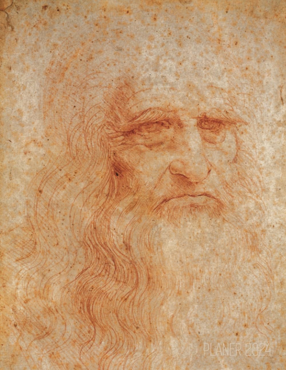 capítulo por capítulo baixar Leonardo da Vinci Monatsplaner 2024: Selbstbildnis | Da Vinci Selbstporträt Planer 2024 mit Raum für Notizen | Januar - Dezember 2024 mit... Organizer Terminplaner (German Edition)