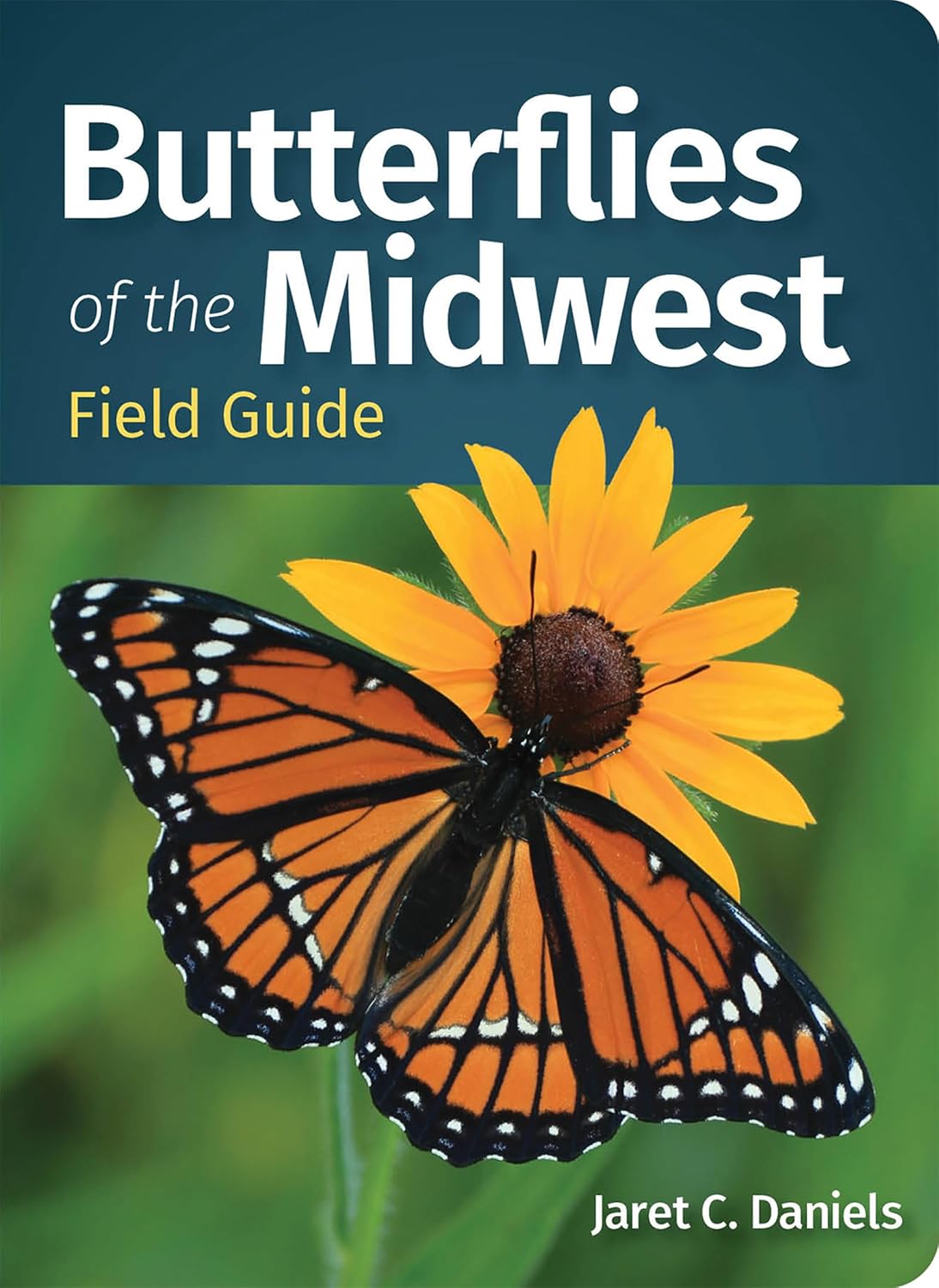Butterflies of the Midwest Field Guide (Butterfly Identification Guides) (English Edition)