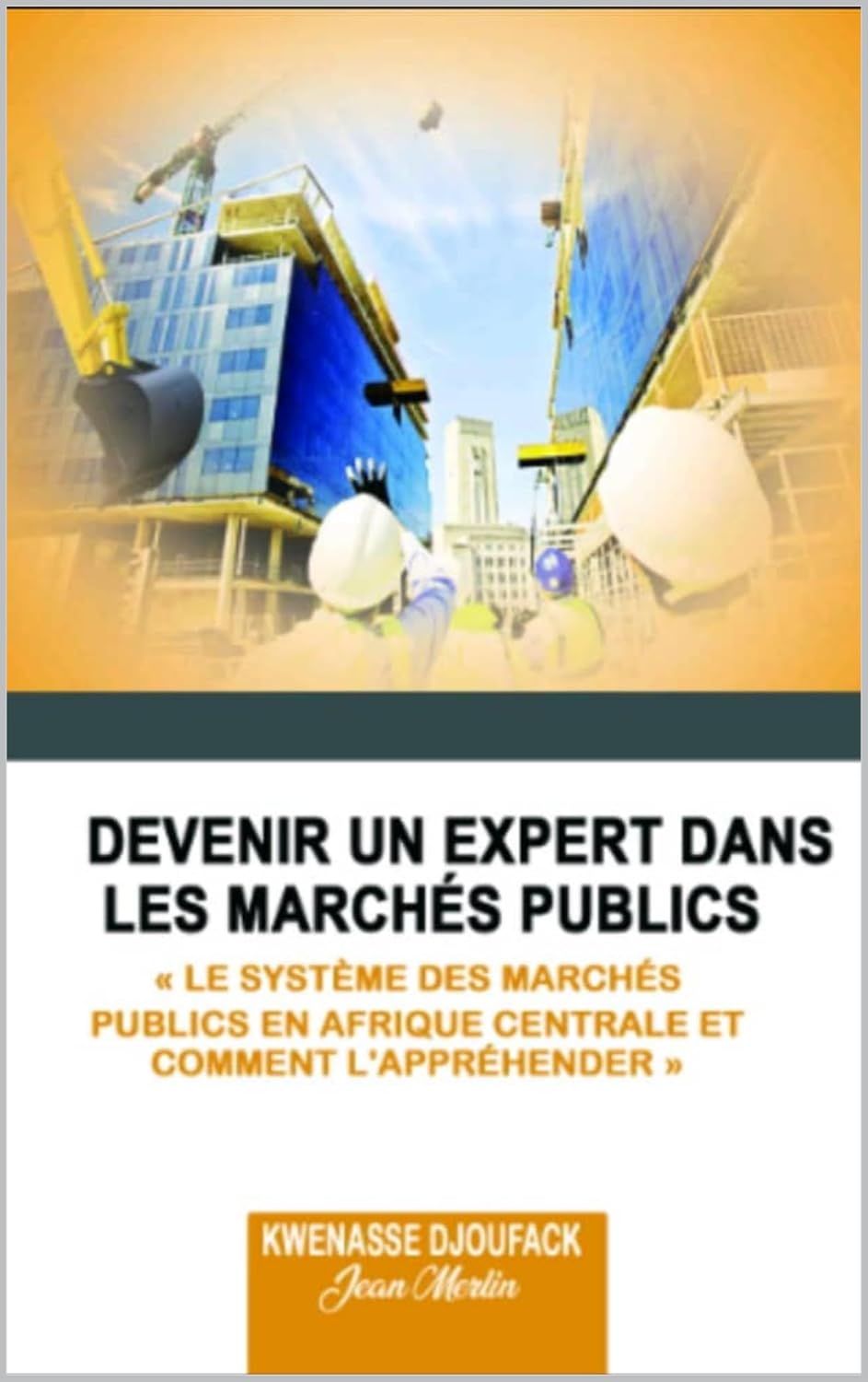capítulo por capítulo baixar DEVENIR UN EXPERT DANS LES MARCHÉS PUBLICS: Le système des marchés publics en Afrique centrale et comment l’appréhender (French Edition)