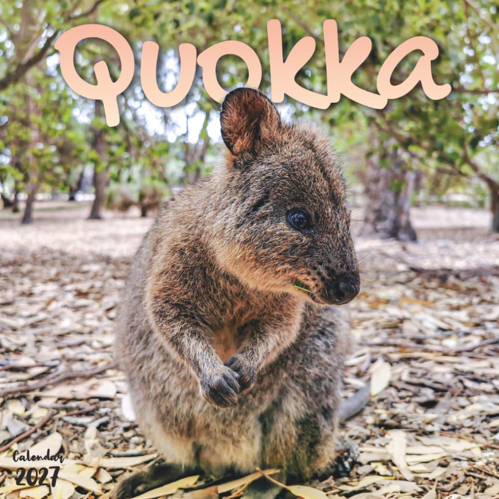 ler totalmente Quokka 2027 Calendar: 12 Months of the World's Happiest Animal