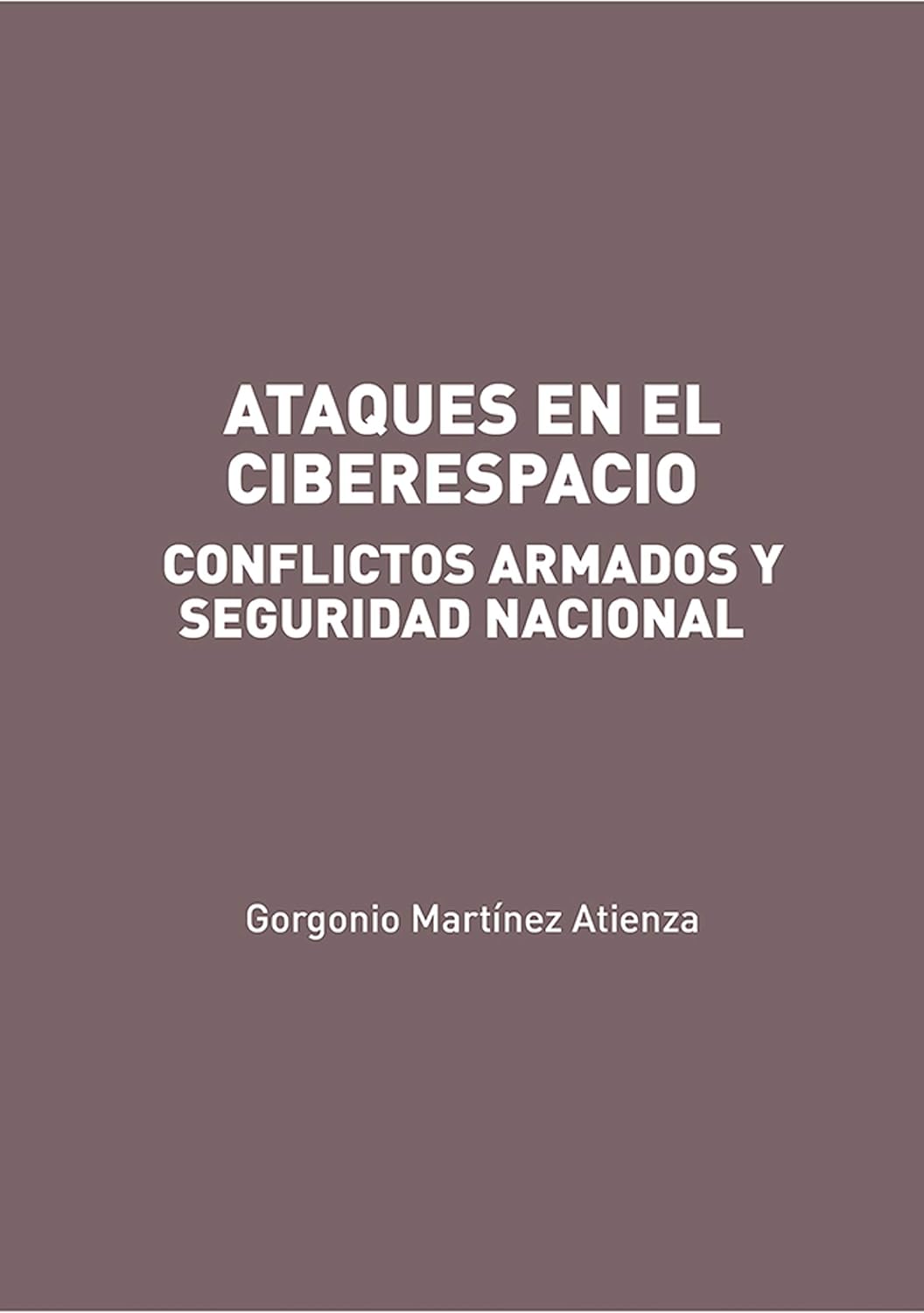 ler totalmente Ataques en el Ciberespacio: conflictos armados y seguridad nacional (Spanish Edition)
