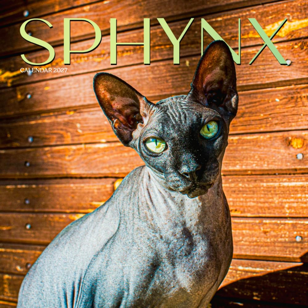 capítulo por capítulo baixar Sphynx Cat Calendar 2027: Cat Portraits and Breed Scenes
