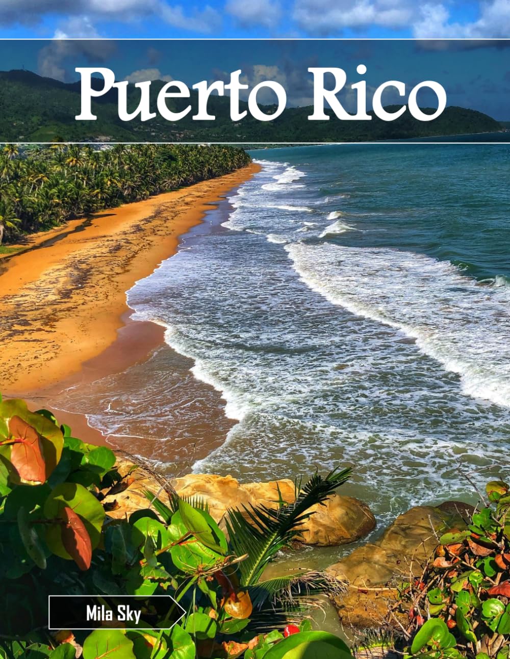 capítulo por capítulo baixar Puerto Rico: A Luxury Coffee Table Book of Iconic Landmarks