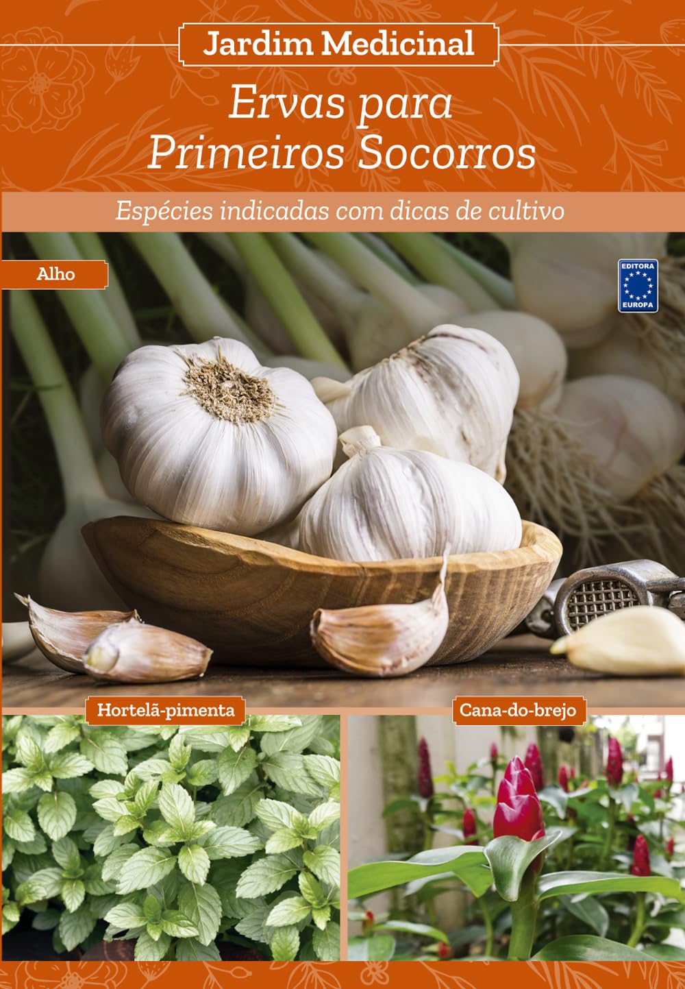 Jardim Medicinal - Volume 7: Ervas para Primeiros Socorros baixar o livro de graça