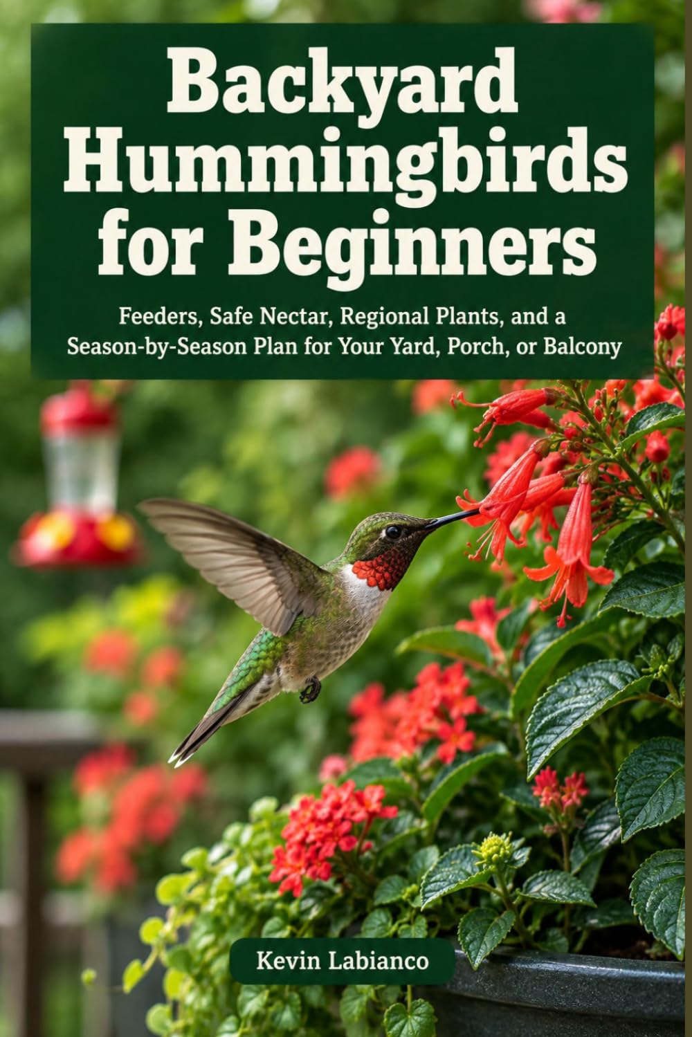 ler totalmente Backyard Hummingbirds for Beginners: Feeders, Safe Nectar, Regional Plants, and a Season-by-Season Plan for Your Yard, Porch, or Balcony