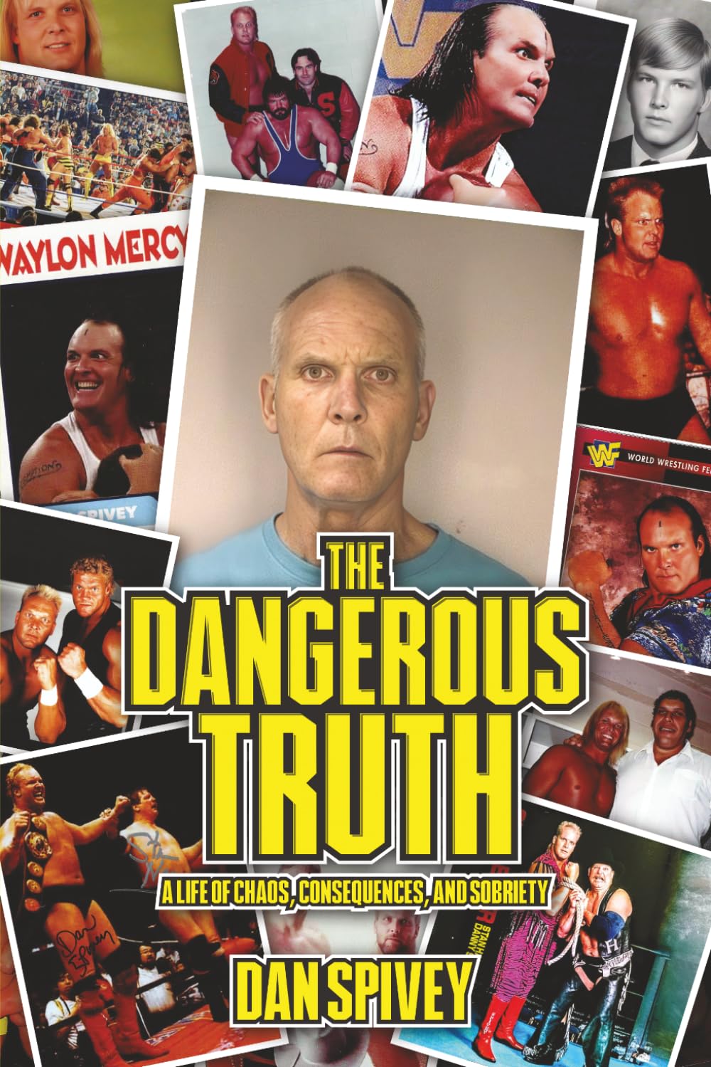The Dangerous Truth: A Life of Chaos, Consequences and Sobriety baixar o livro de graça