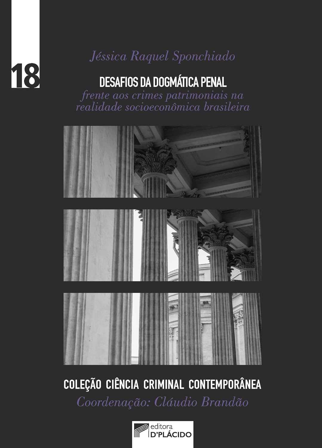 Desafios da Dogmática Penal Frente aos Crimes Patrimoniais na Realidade Socioeconômica Brasileira