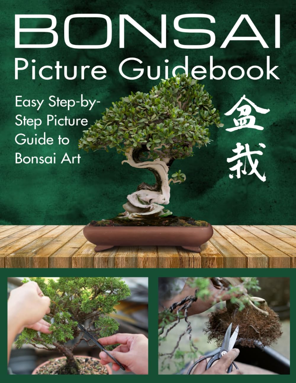 Bonsai Picture Guidebook: Bonsai Trees Book for Beginners with Easy Step-by-Step Visual Guide to Growing, Caring and Shaping Bonsai Trees baixar livro de graça