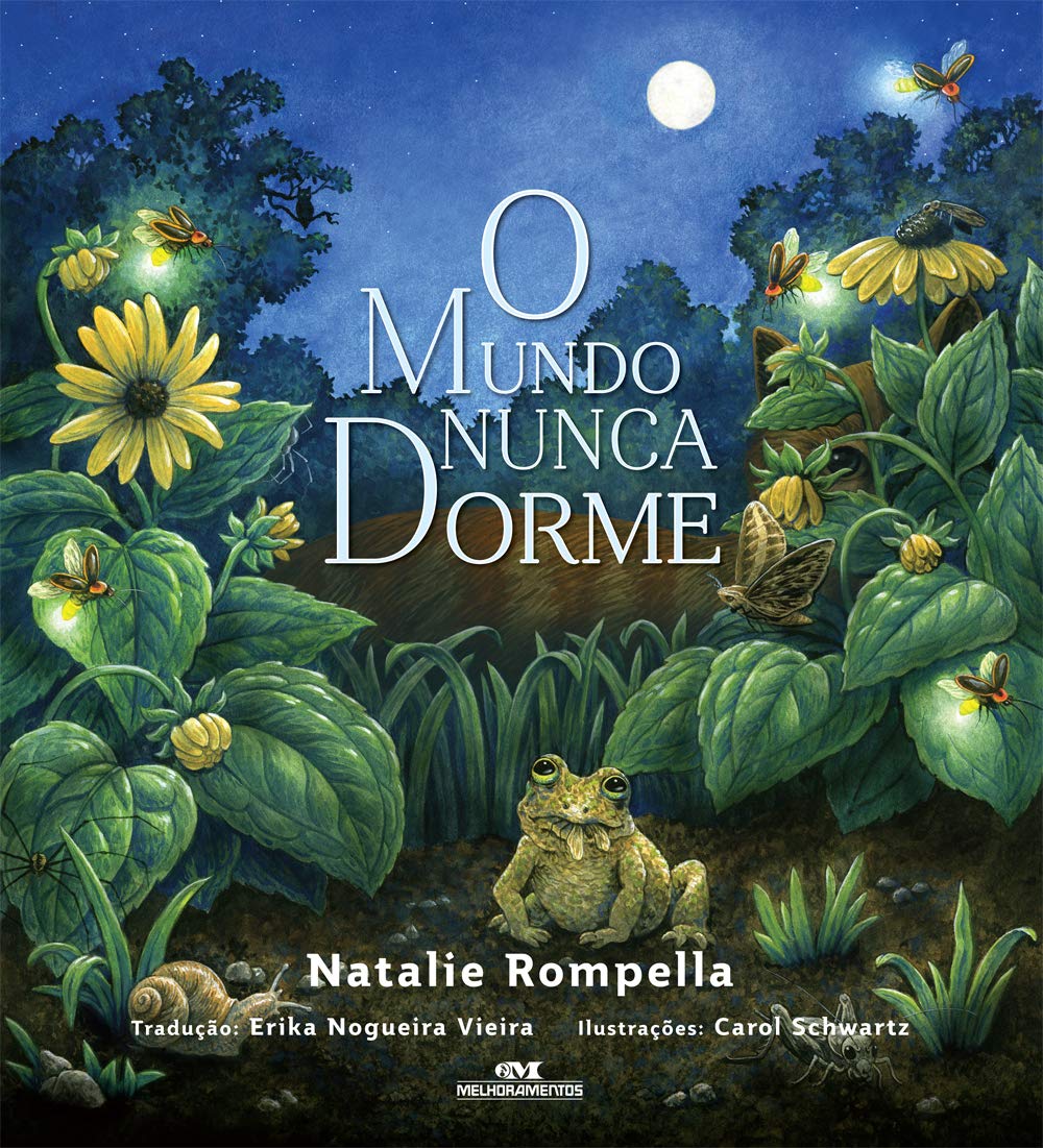 O Mundo Nunca Dorme baixar o livro de graça