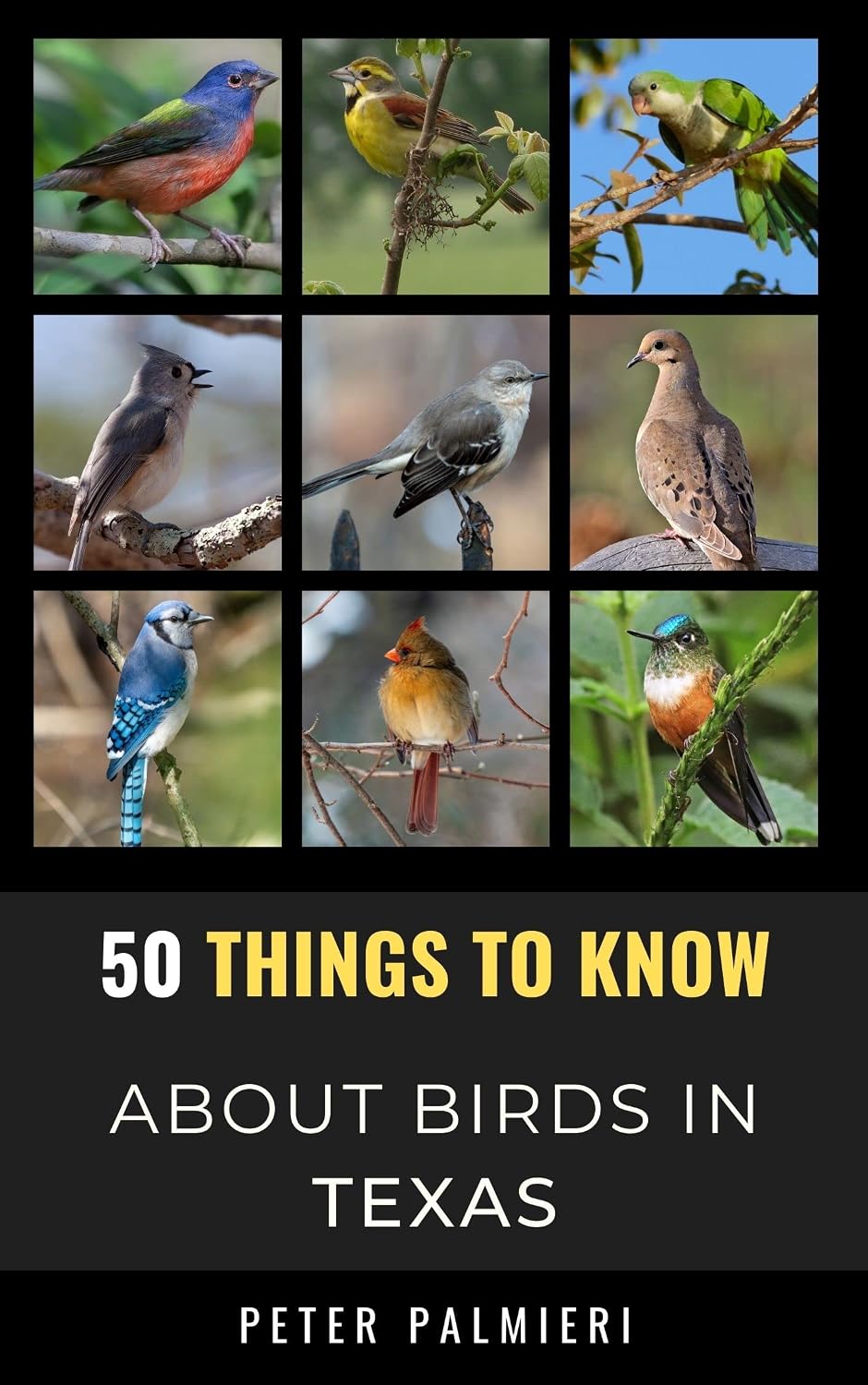 50 Things to Know About Birds in Texas: Birdwatching Guide, Bird Identification, Local Species, Nature Facts, Backyard Birds, & Wildlife (50 Things to... and regional bird books) (English Edition) baixar livro de graça