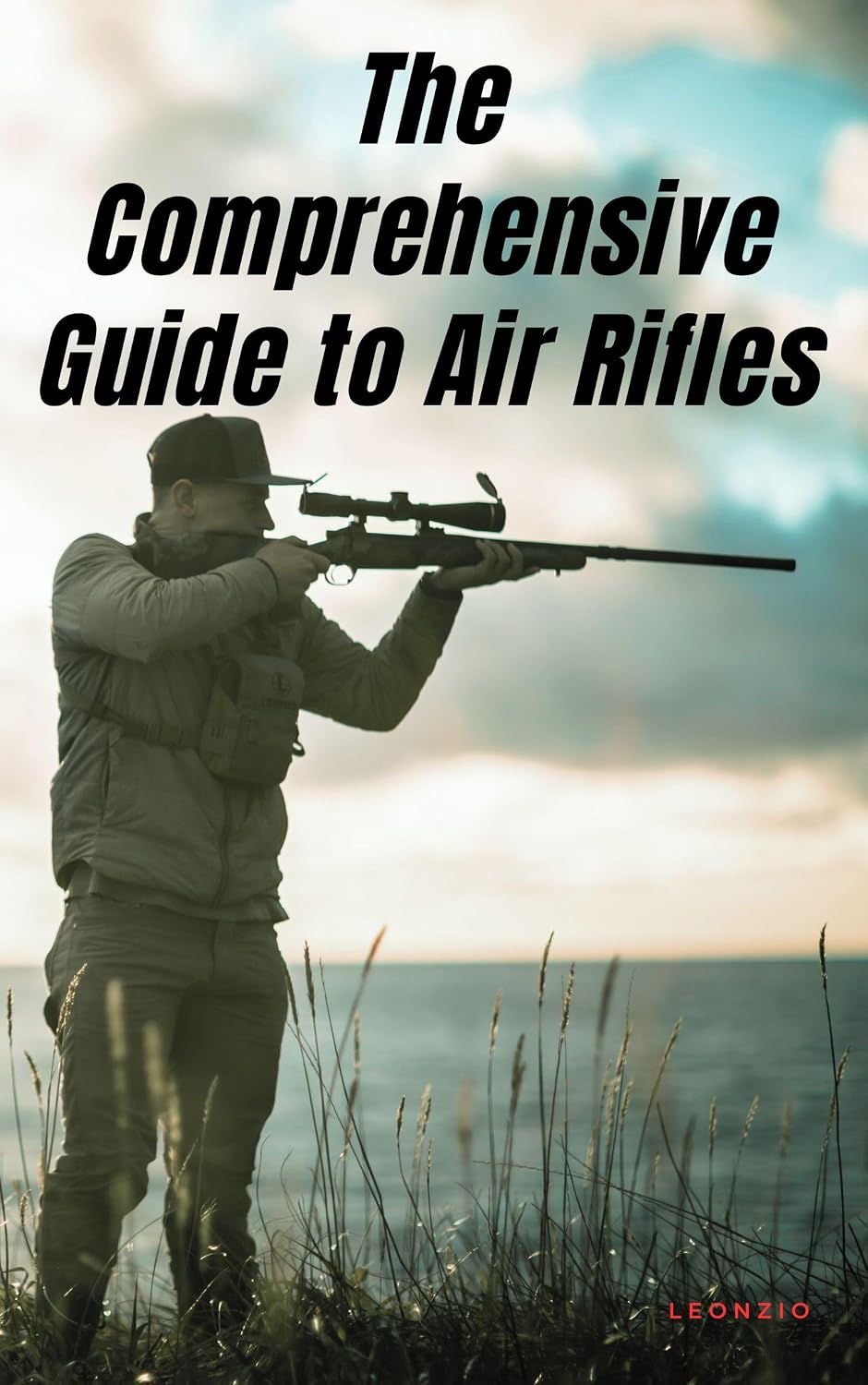 ler totalmente The Comprehensive Guide to Air Rifles (English Edition)