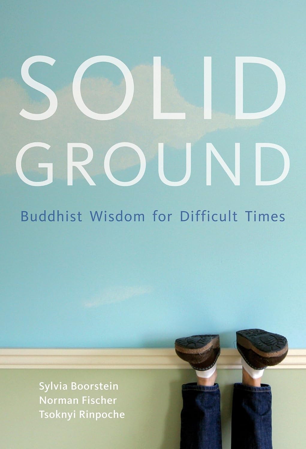 Solid Ground: Buddhist Wisdom for Difficult Times baixar livro de graça
