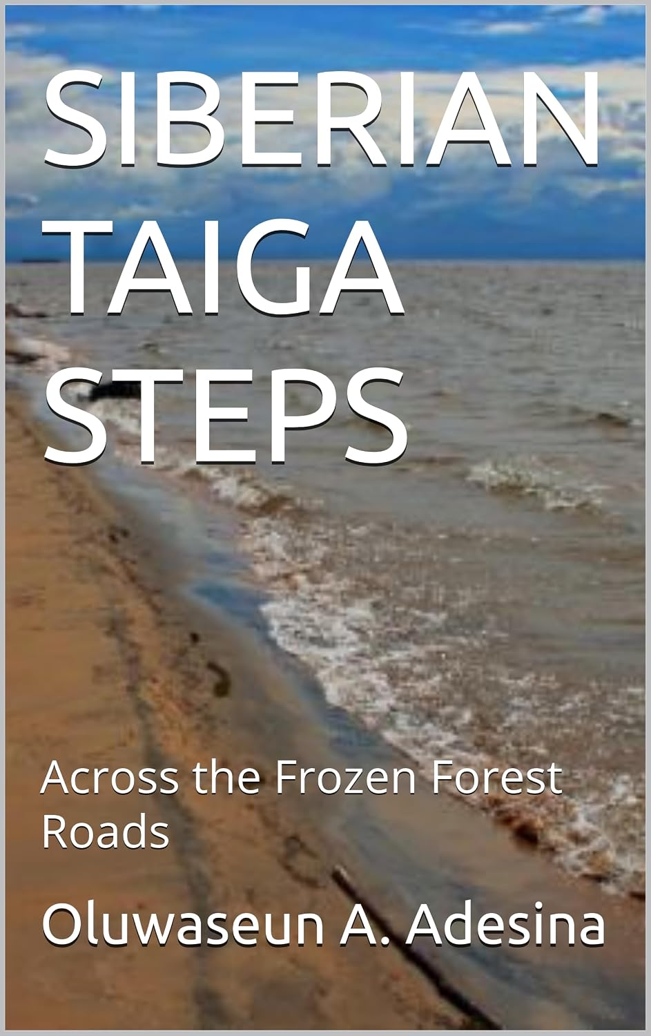 SIBERIAN TAIGA STEPS: Across the Frozen Forest Roads (English Edition) baixar o livro de graça