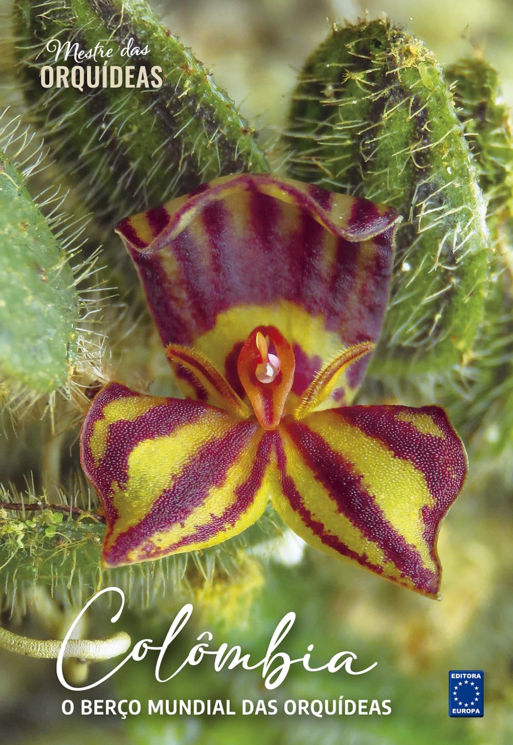 capítulo por capítulo baixar Colômbia - O berço mundial das Orquídeas - Mestre das Orquídeas - Volume 24