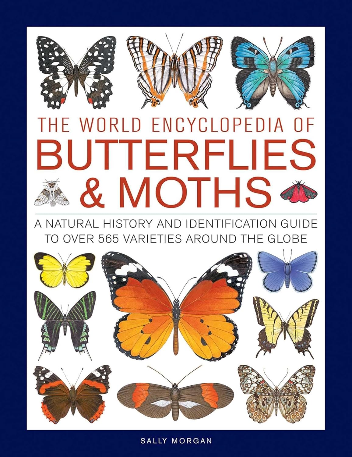 The World Encyclopedia of Butterflies & Moths: A Natural History and Identification Guide to Over 565 Varieties Around the Globe