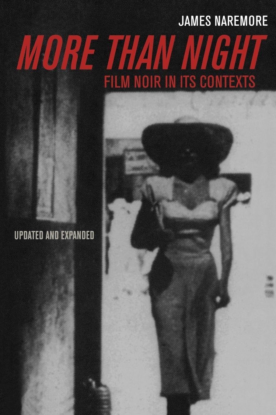 More Than Night: Film Noir in Its Contexts baixar o livro de graça