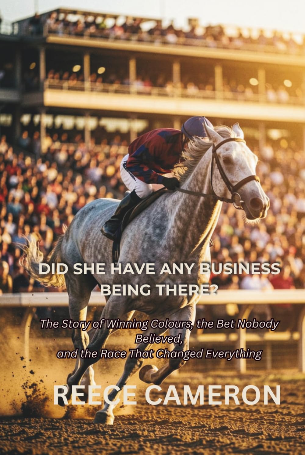 DID SHE HAVE ANY BUSINESS BEING THERE?: The Story of Winning Colours, the Bet Nobody Believed, and the Race That Changed Everything baixar livro de graça