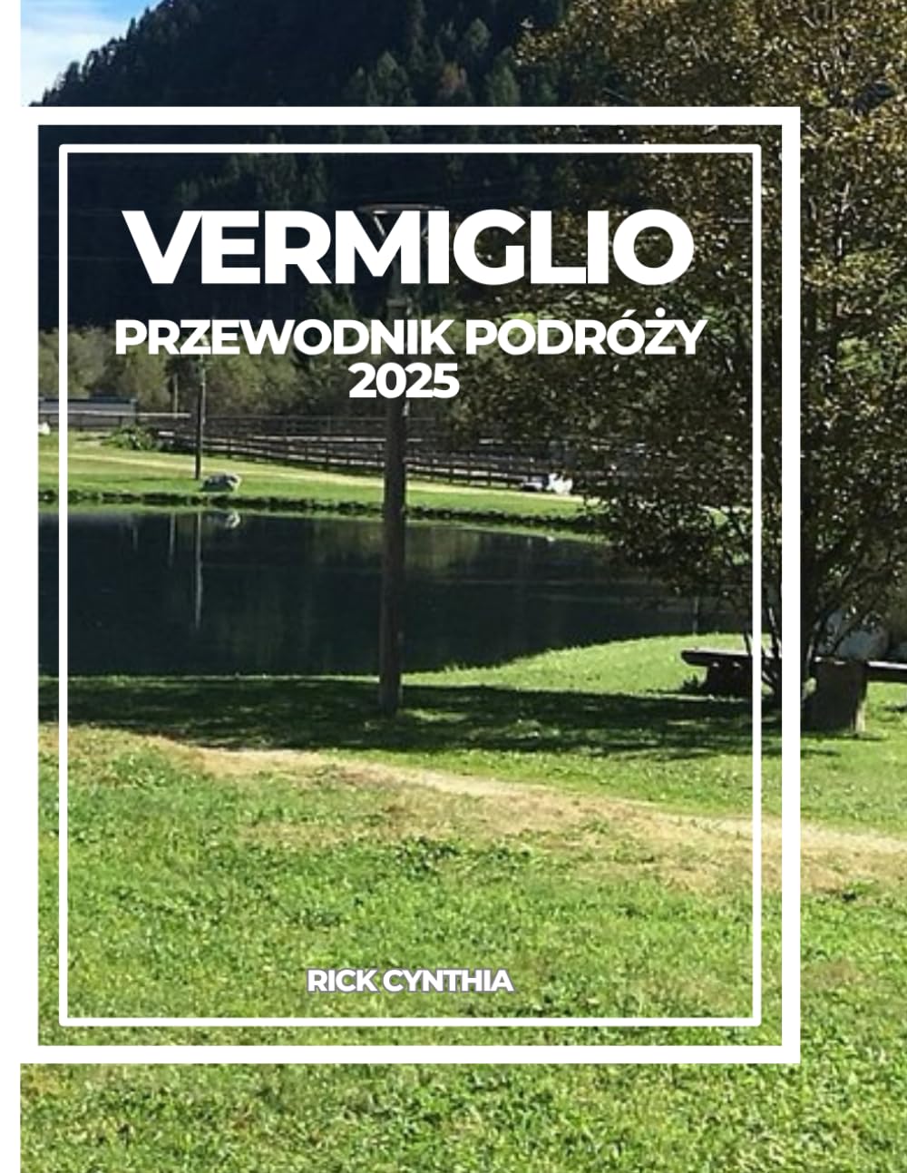 VERMIGLIO PRZEWODNIK PODRÓŻY 2026 baixar o livro de graça