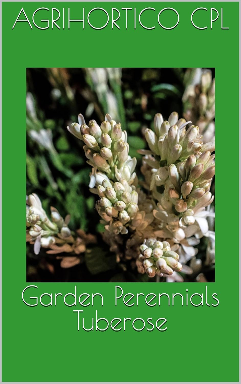Garden Perennials Tuberose (English Edition) baixar livro de graça
