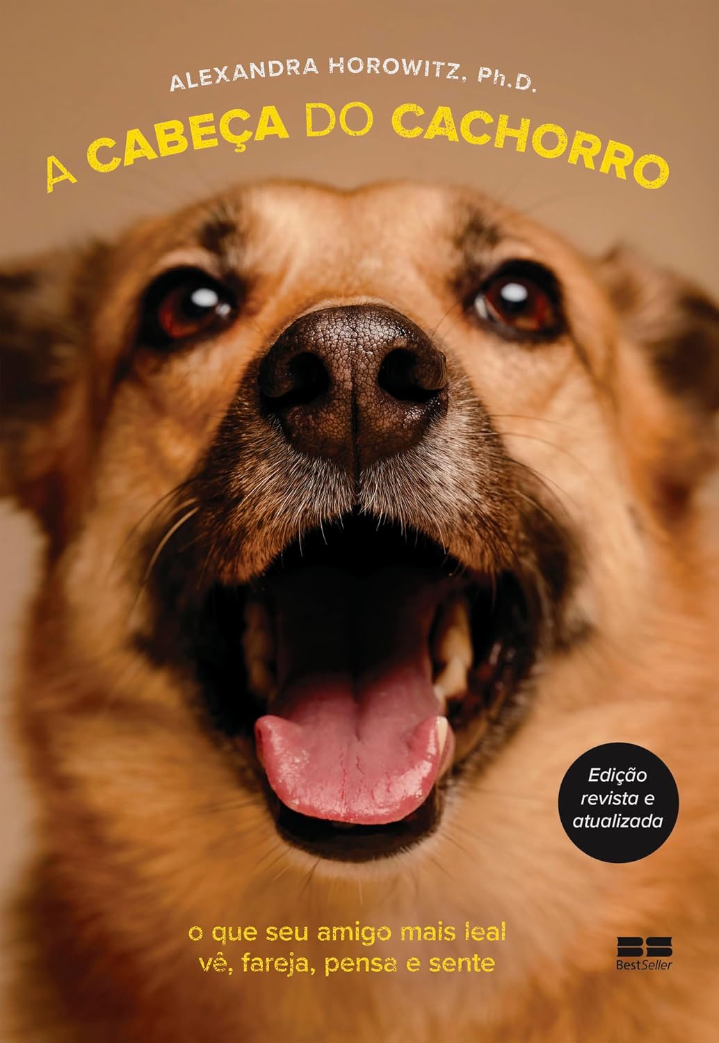 A cabeça do cachorro baixar livro de graça