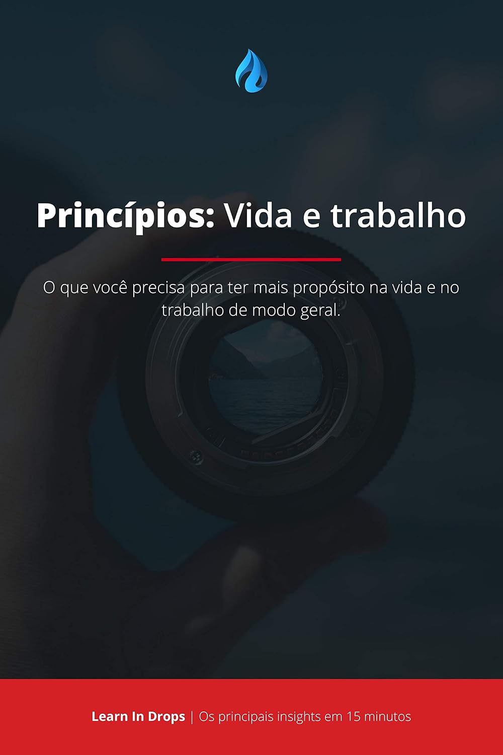 Drops: Princípios – Vida e Trabalho Por Ray Dalio: O que você precisa para ter mais propósito na vida e no trabalho de modo geral. baixar livro de graça