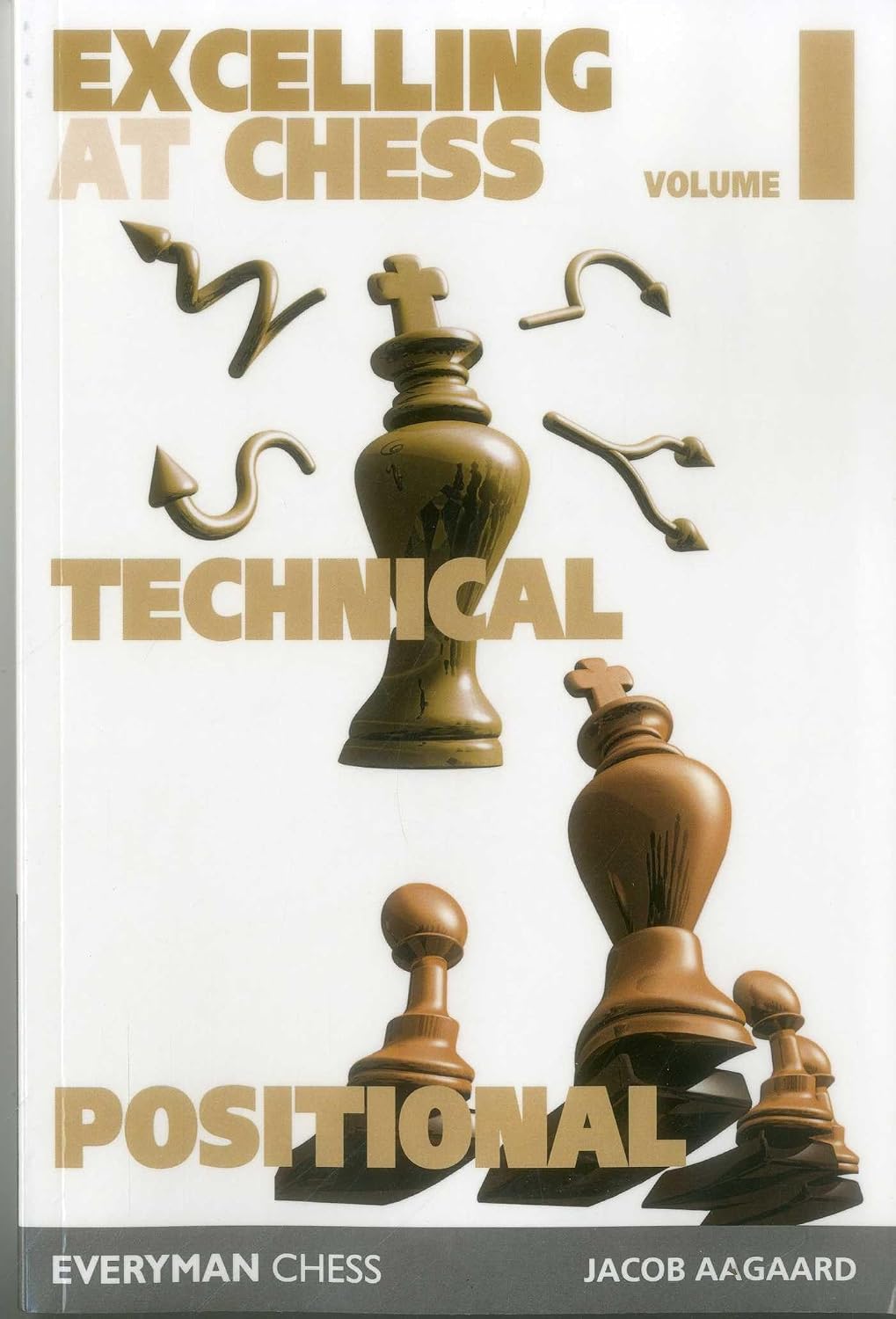 Excelling at Chess Volume 1. Technical and Positional baixar livro de graça