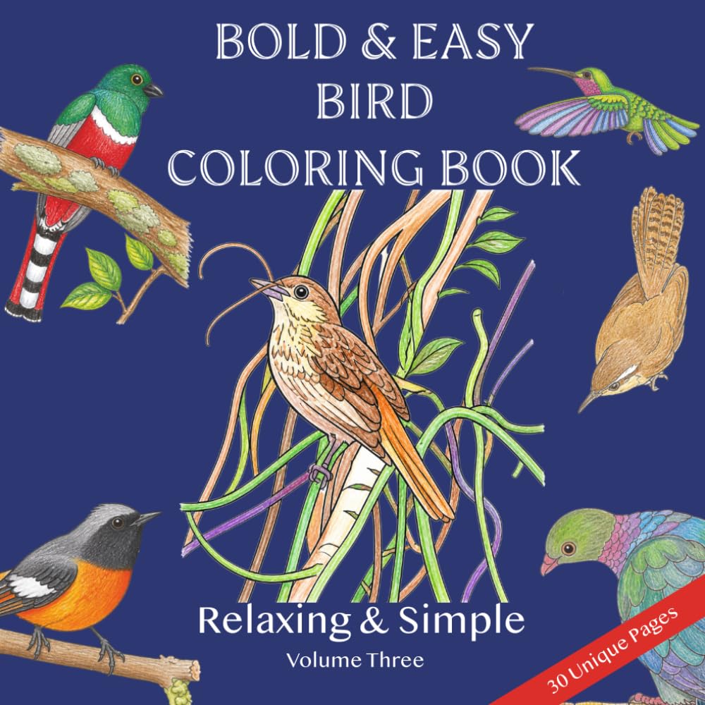 ler totalmente Bold & Easy Bird Coloring Book Volume Three: Easy Large Bird Coloring Pages for Adults, Seniors, Teens, and Kids, Relaxing Fun Stress Relief for All Ages