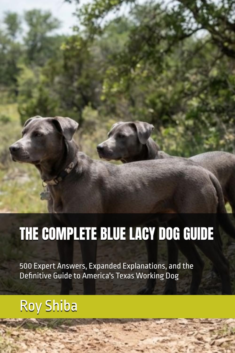 ler totalmente THE COMPLETE BLUE LACY DOG GUIDE: 500 Expert Answers, Expanded Explanations, and the Definitive Guide to America's Texas Working Dog (The Complete Dog Guide Series)