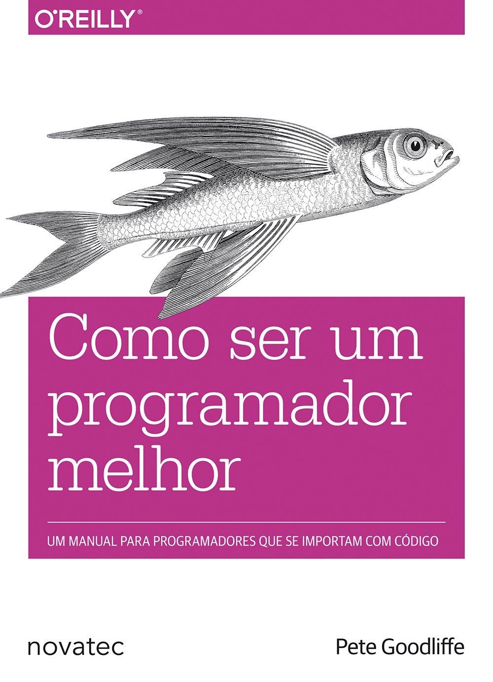 Como Ser Um Programador Melhor baixar livro de graça