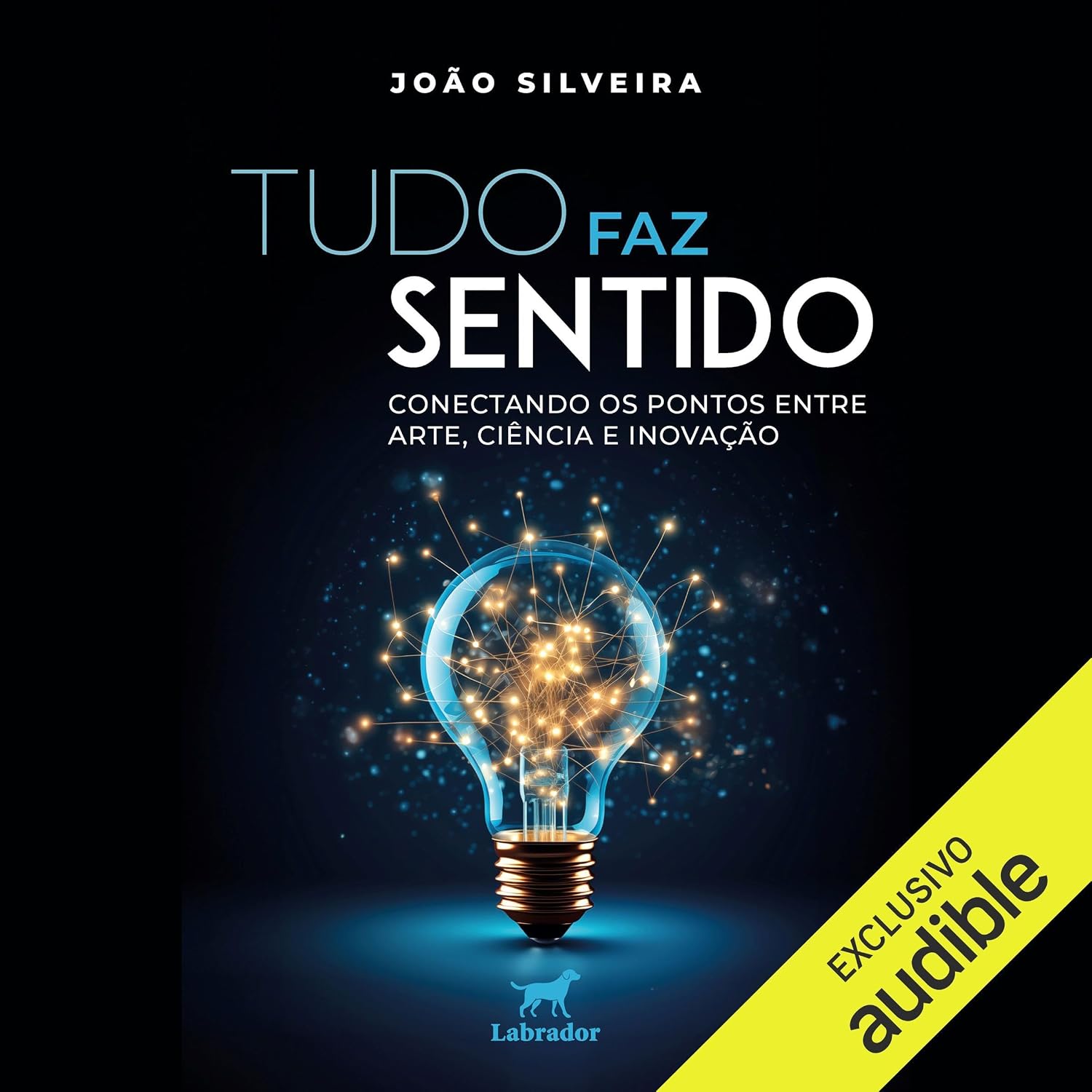 capítulo por capítulo baixar Tudo faz sentido: Conectando os pontos entre arte, ciência e inovação
