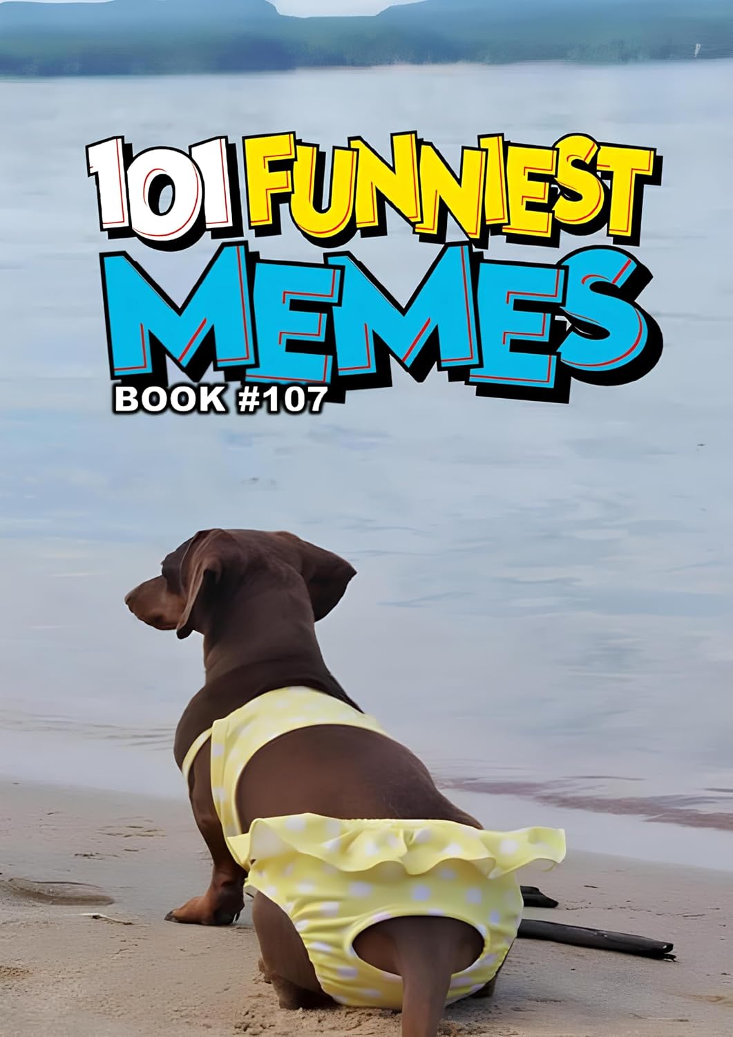101 FUNNIEST MEMES: BOOK 107 (English Edition) baixar livro de graça